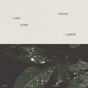 俄罗斯妈妈黄片母子
